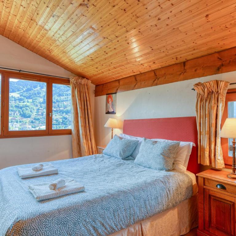 Les Terrasses de Bel Alp - Appartamento - 5