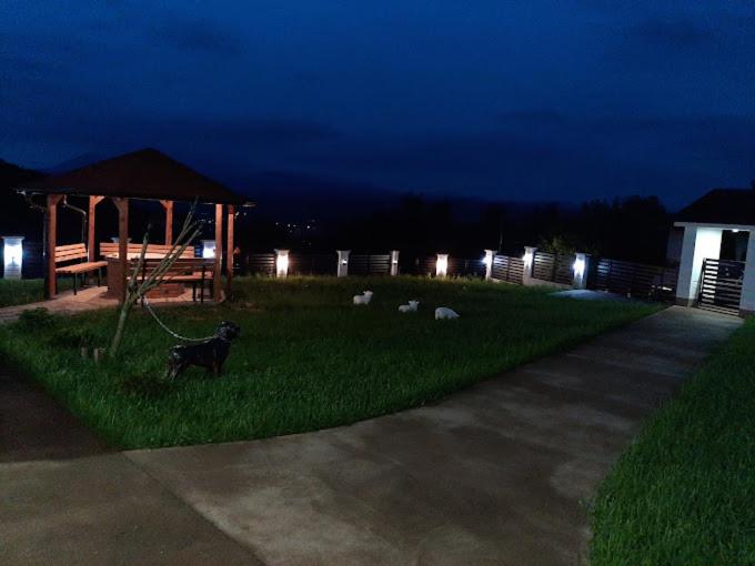 Vila Kruna - Apartman sa 2 Spavaće Sobe - 8