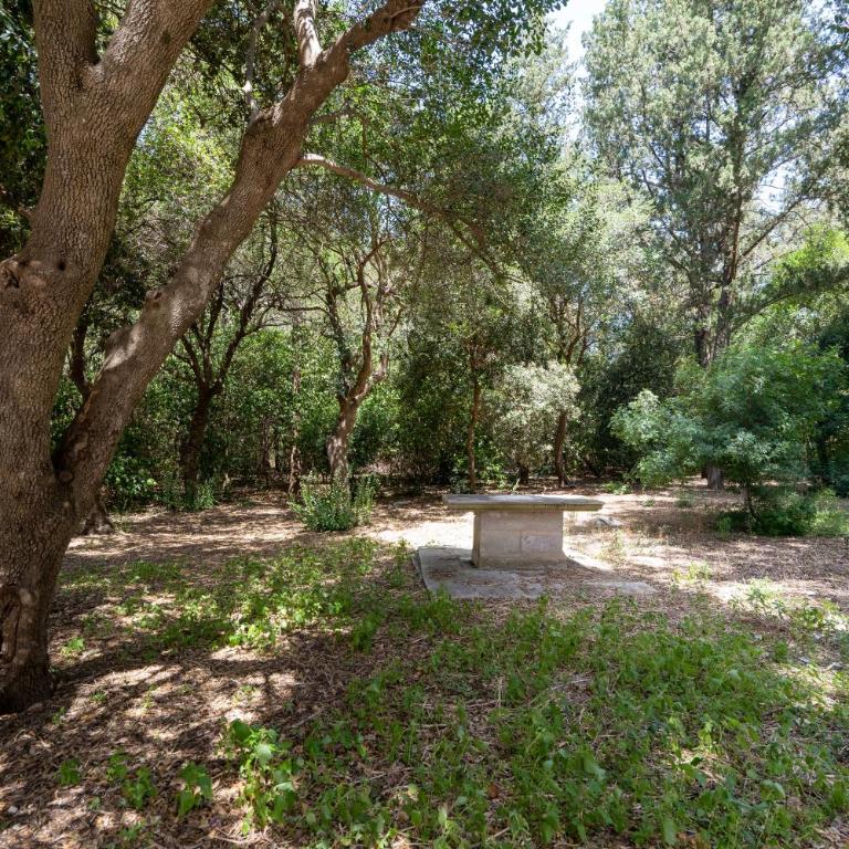 Villa Boschetti Apartments - Appartamento con 1 Camera da Letto - 21