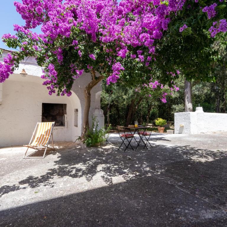 Villa Boschetti Apartments - Appartamento con 1 Camera da Letto - 3