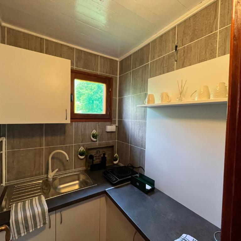Apartman KOD PECE - Kuća sa 1 Spavaćom Sobom - 15