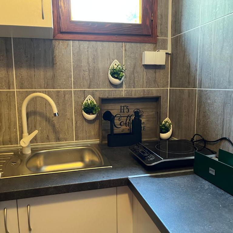 Apartman KOD PECE - Kuća sa 1 Spavaćom Sobom - 16