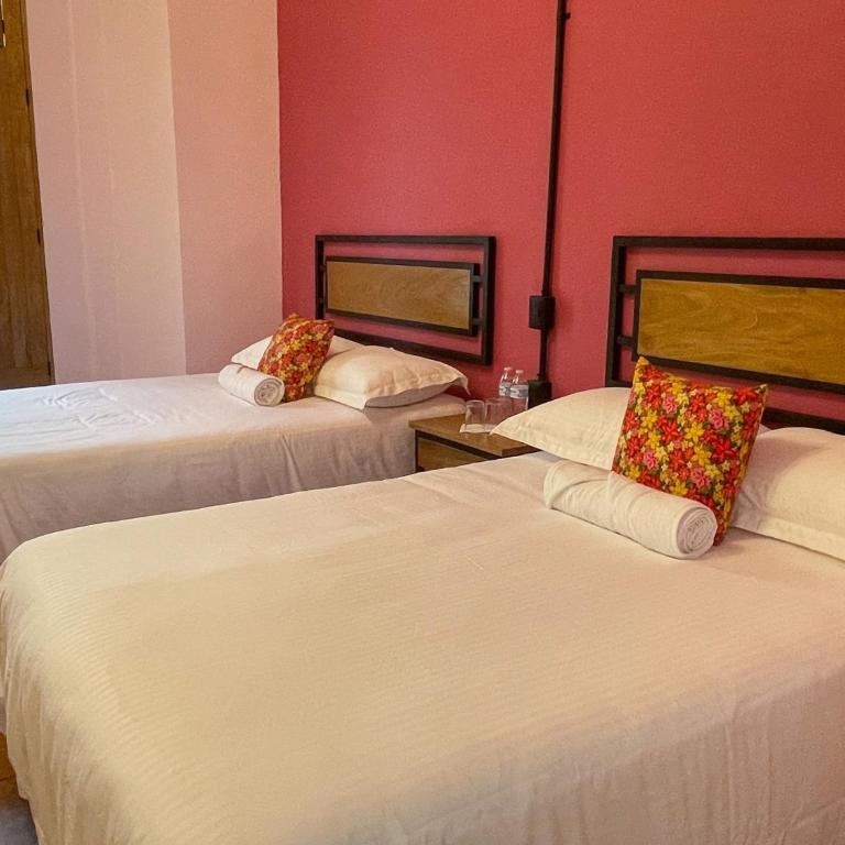 Suites Patio Antequera - Estudio Doble Deluxe - 11