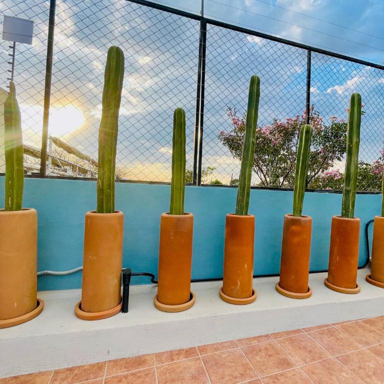 Suites Patio Antequera - Estudio Doble Deluxe - 9