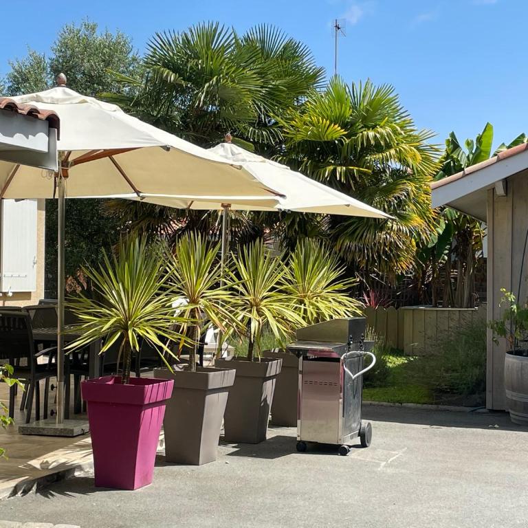 Villa proche Arcachon, Dune, Plages - Casa de 4 dormitorios - 19