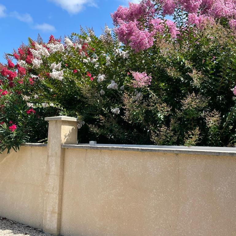 Villa proche Arcachon, Dune, Plages - Casa de 4 dormitorios - 17