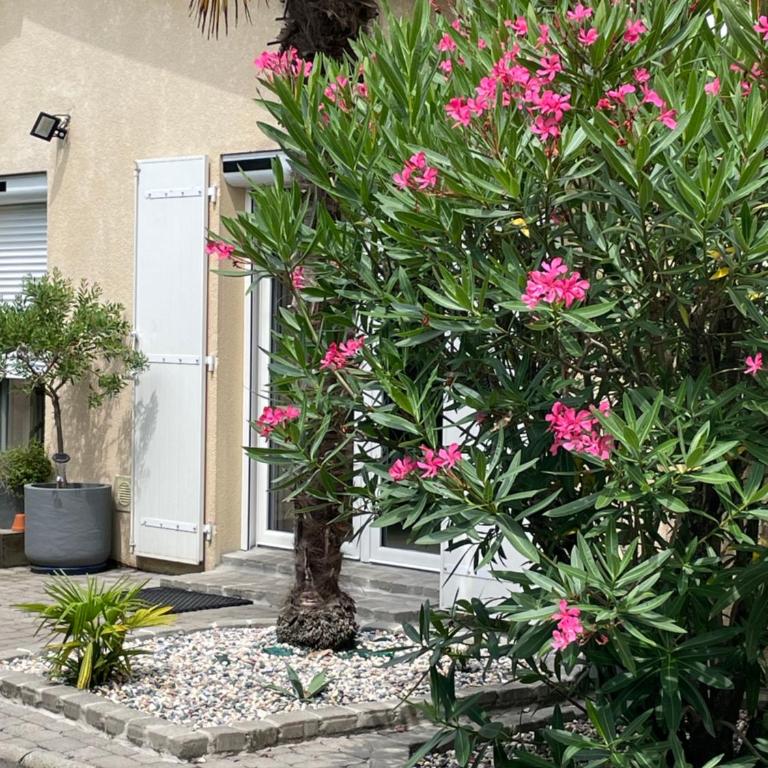 Villa proche Arcachon, Dune, Plages - Casa de 4 dormitorios - 2