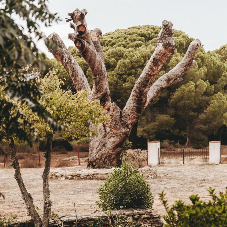 Dehesa de las Yeguas casa en finca privada con piscina y playa - Villa con piscina privada - 37