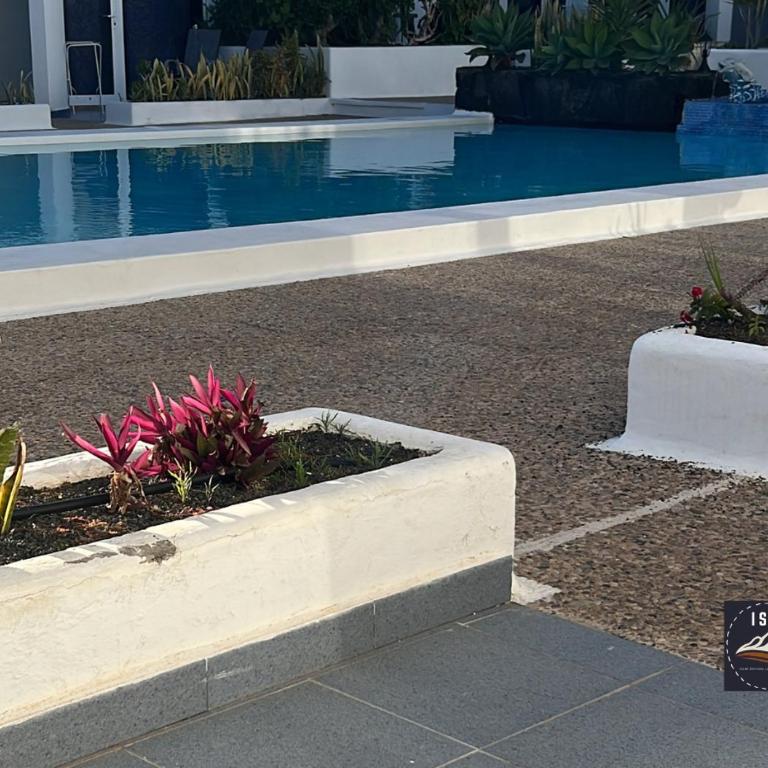 Cristian Puerto del Carmen Los Delfines - One-Bedroom Apartment - 1