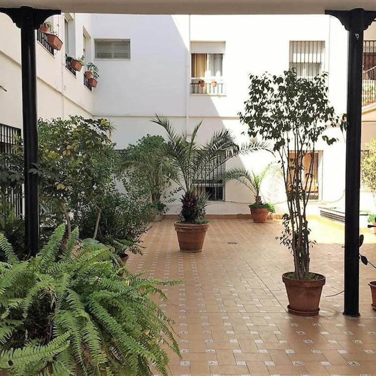 COZY APARTMENT IN THE CENTER OF SEVILLE - Apartamento de 1 dormitorio - 15