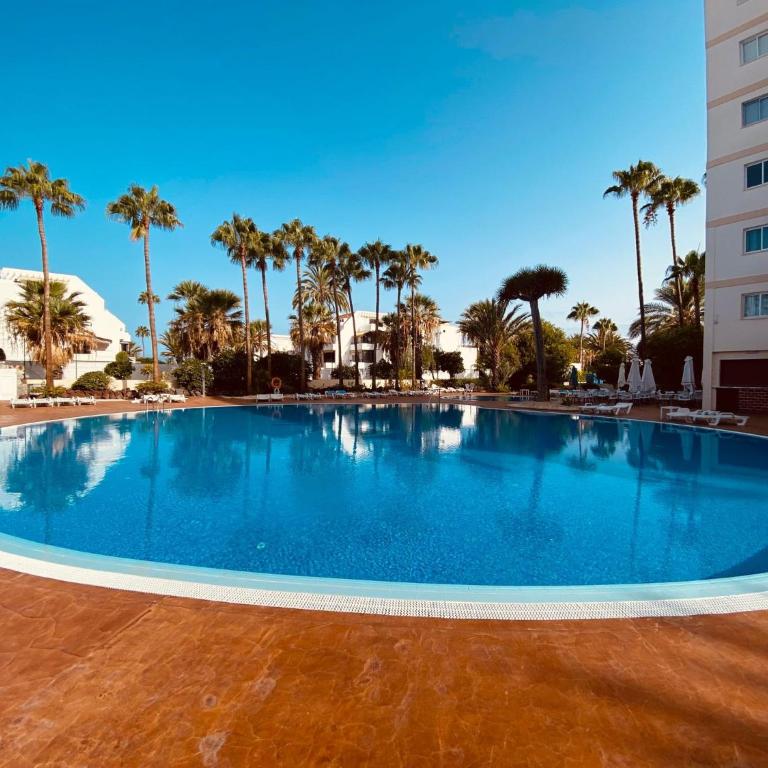 El Dorado Serenity - Apartamento de 1 dormitorio - 3