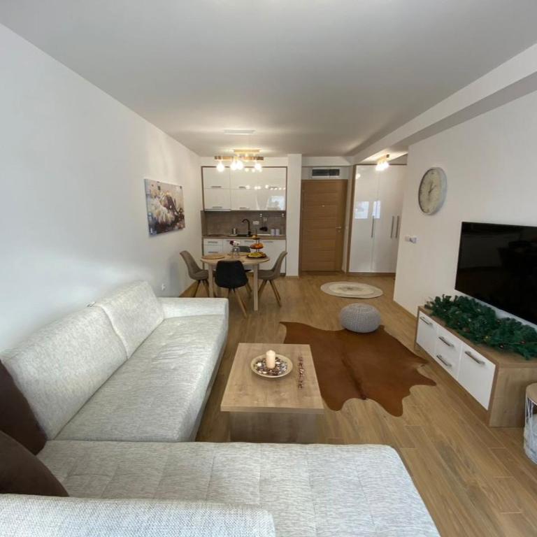 Family Apartment - One-Bedroom Apartment - 13
