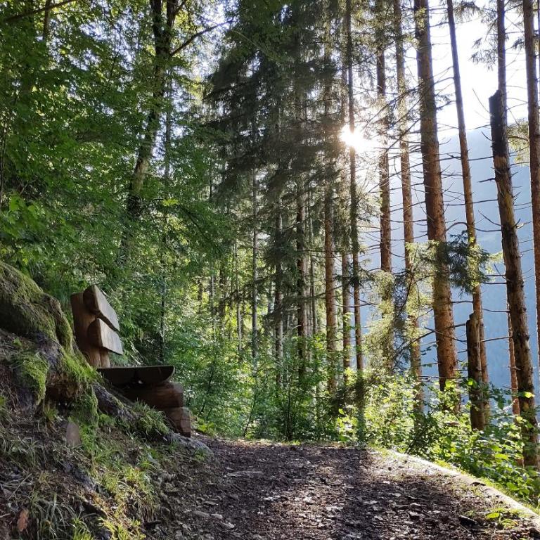 Chalet Maso Salam - Chalet mit 1 Schlafzimmer - 41