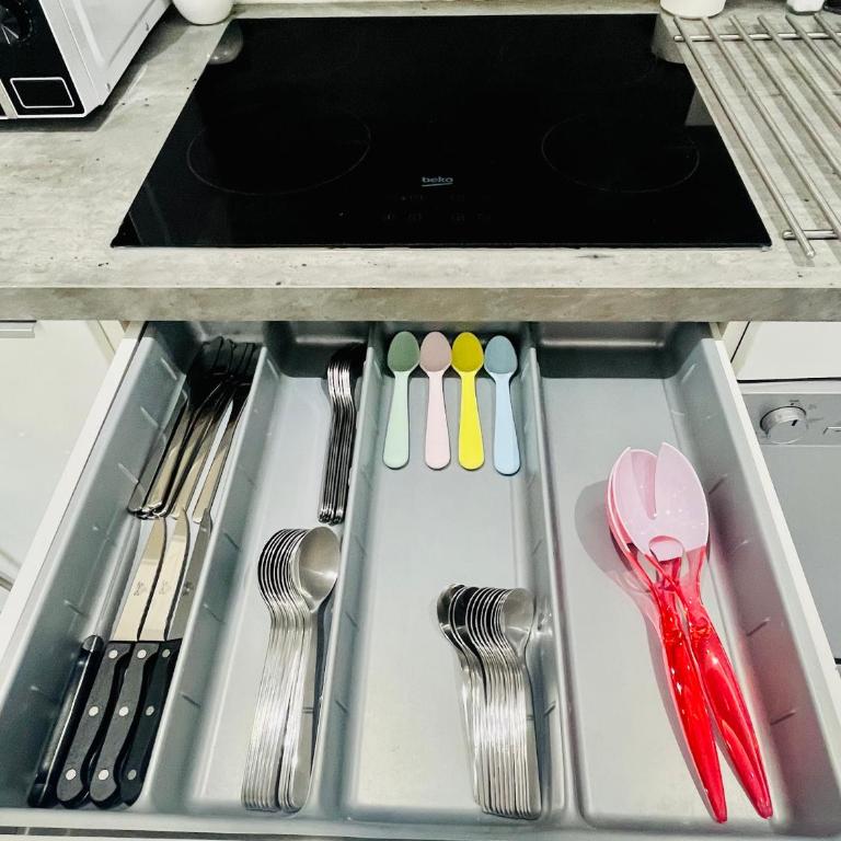 SUPERBE DUPLEX DESIGN NEUF 2 CHAMBRES, CLIMATISE TOUT CONFORT, FACILE D,ACCES STATIONNEMENT GRATUIT - Apartamento de 2 dormitorios - 4