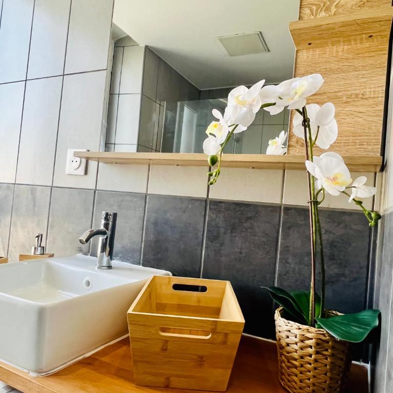 SUPERBE DUPLEX DESIGN NEUF 2 CHAMBRES, CLIMATISE TOUT CONFORT, FACILE D,ACCES STATIONNEMENT GRATUIT - Apartamento de 2 dormitorios - 23