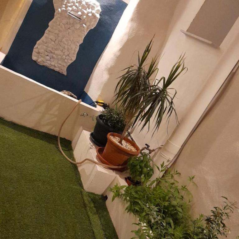Garden Suite Apartment - One-Bedroom House - 19