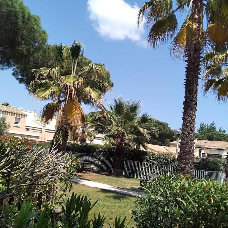 Studio avec jardin, piscine, sauna, proche de la mer et du village naturiste - Apartment mit 1 Schlafzimmer - 100