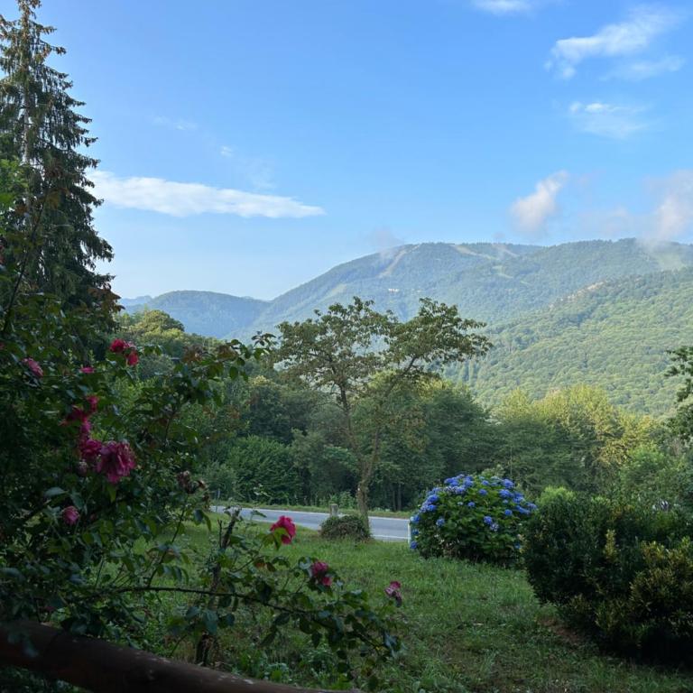 Borgo Al Carletto - Slow Stay - One-Bedroom Apartment - 8