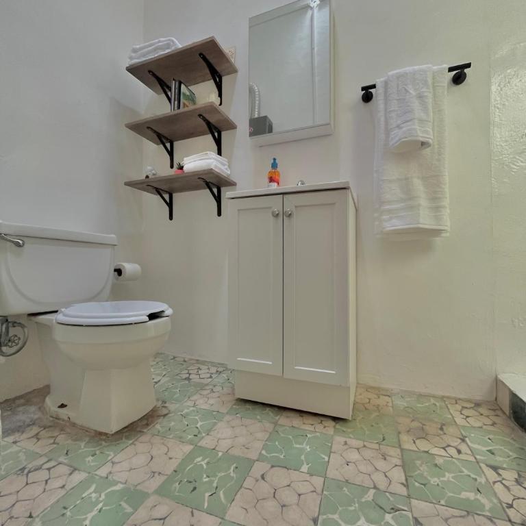 The stones house in the Historic Downtown - Three-Bedroom House - 10