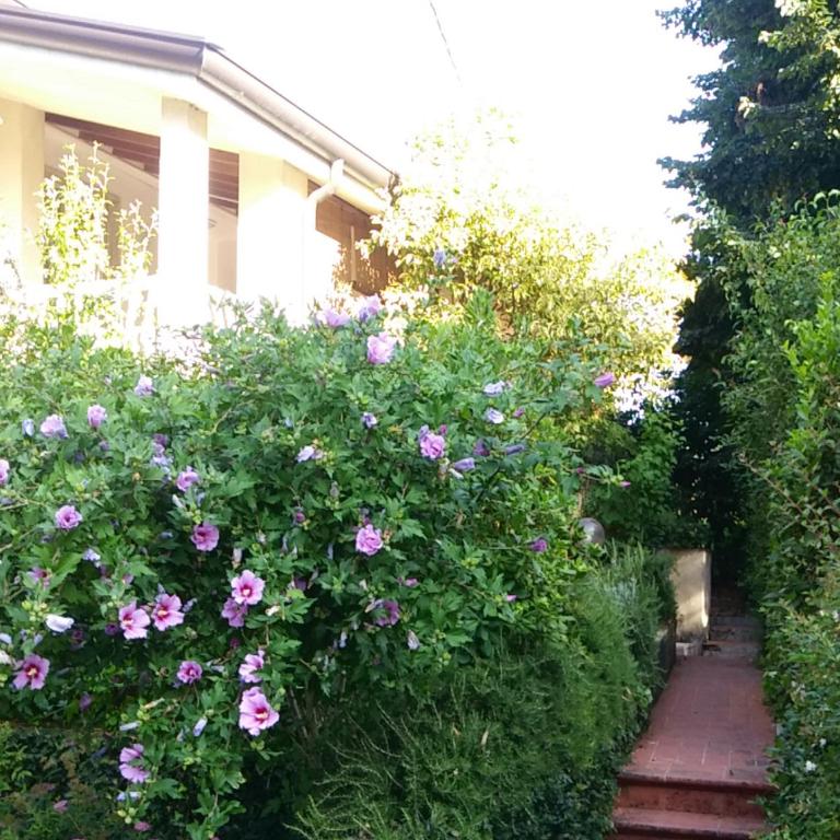 Residenza Alice - Toscana mare e monti - Apartment - 3