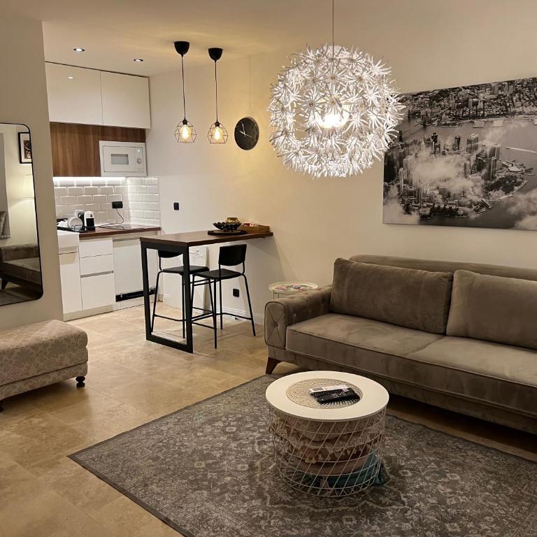 ROSE Downtown - Studio s King-sajz Krevetom i Sofom na Izvlačenje - 1