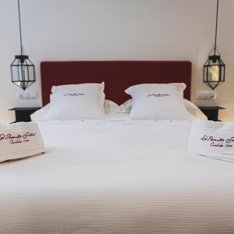La Ermita Suites - Único Hotel Monumento de Córdoba - Suite Junior Superior - 9
