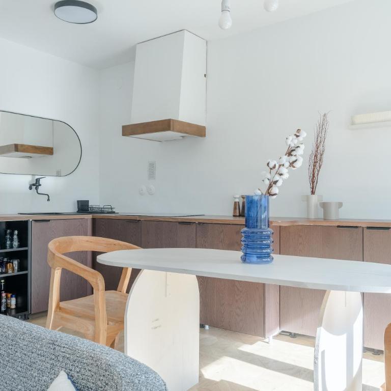 Charmant T2 en centre ville - Castelane - Appartement 1 Chambre - 8