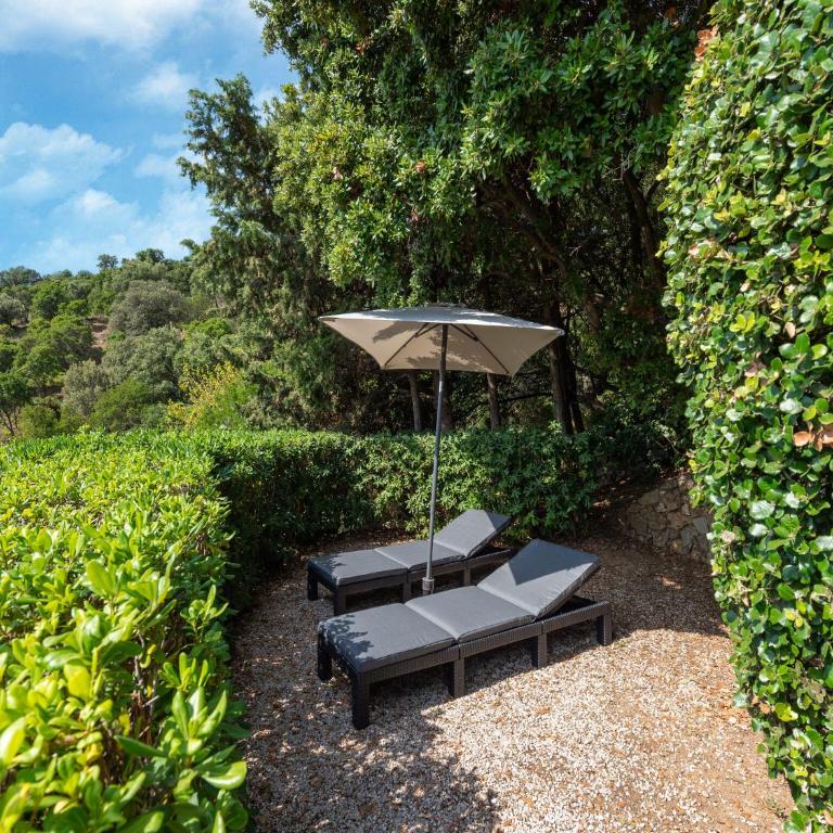 Apartment near Saint Tropez Beach - Maison de Vacances 2 Chambres - 11