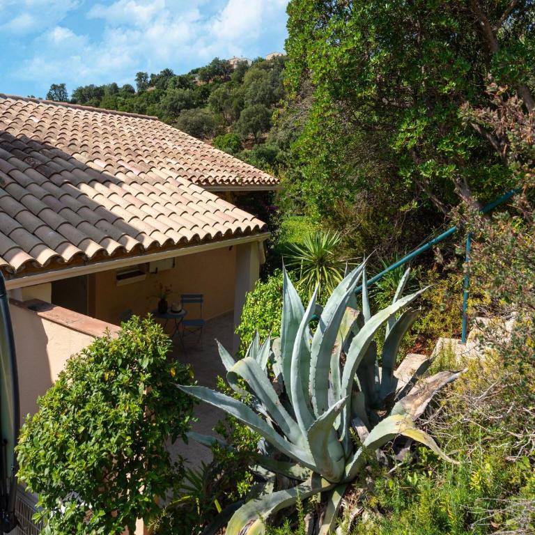 Apartment near Saint Tropez Beach - Maison de Vacances 2 Chambres - 16
