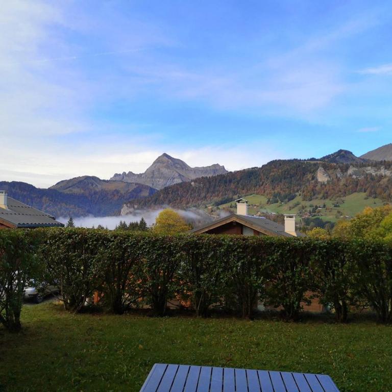 Appartement cosy avec terrasse - 6 pers, proche pistes et commerces, parking inclus - Appartement 1 Chambre - 7
