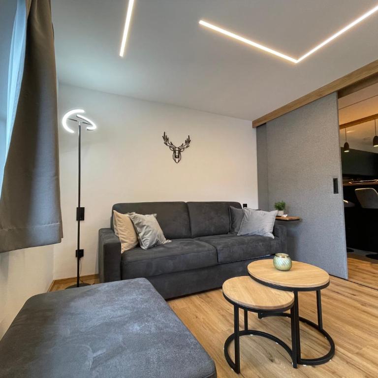 Alpenglück - Hinterthal & Sauna - Apartment mit Sauna - 19