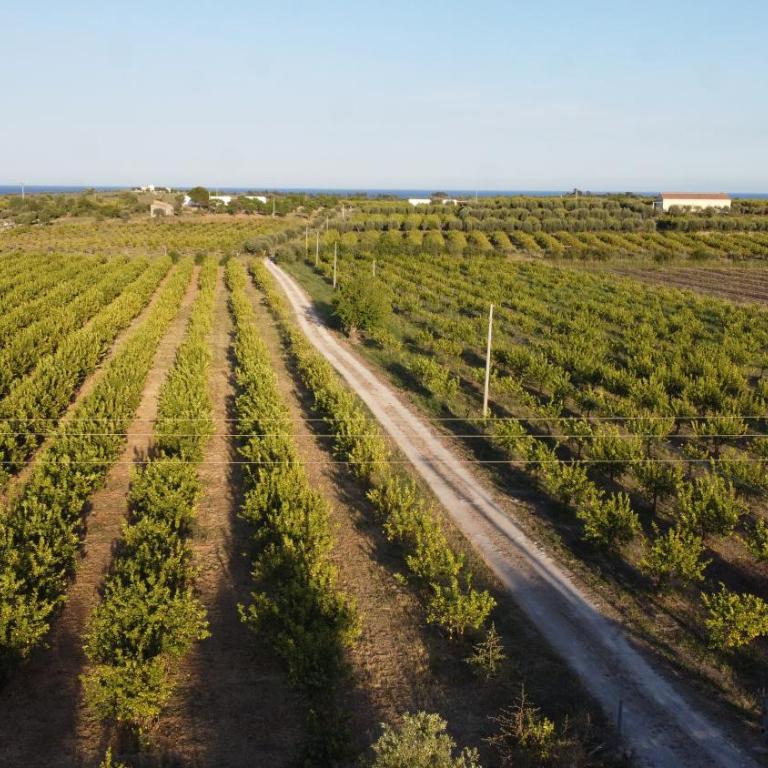 Tenuta Alessandra Noto - Villa - 5