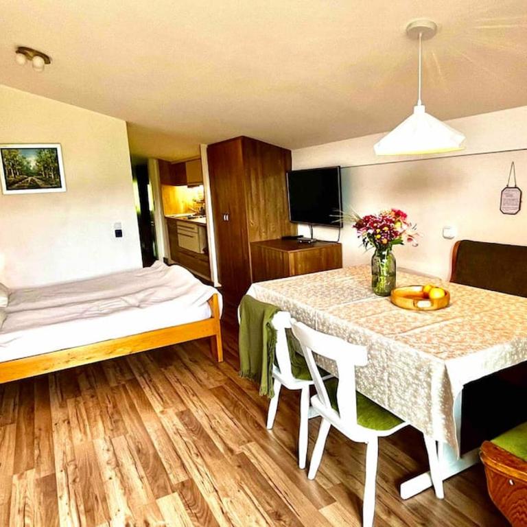Cozy Apartment with a wonderful Panoramic View - Apartment mit 2 Schlafzimmern - 7
