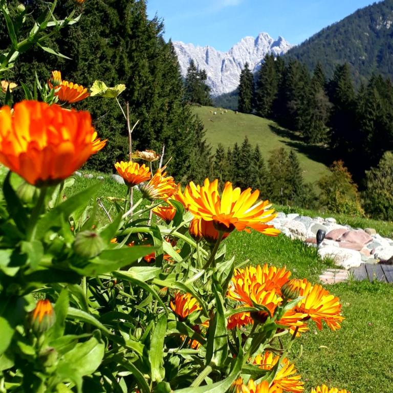 Ferienhof Obertenn - Superior Apartment mit 2 Schlafzimmern und Bergblick - 20