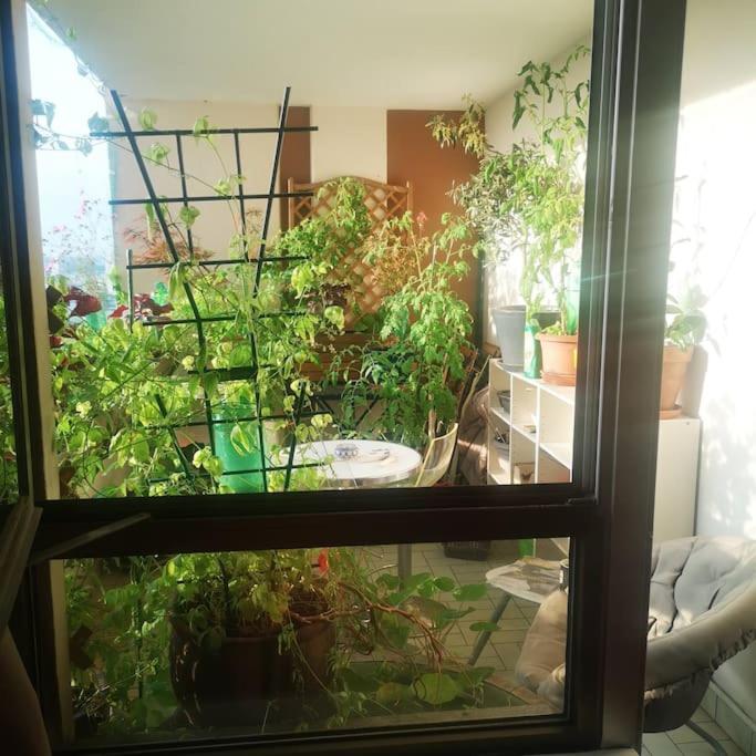 Large studio with terrace for up to 4 people - Appartement 1 Chambre - 18