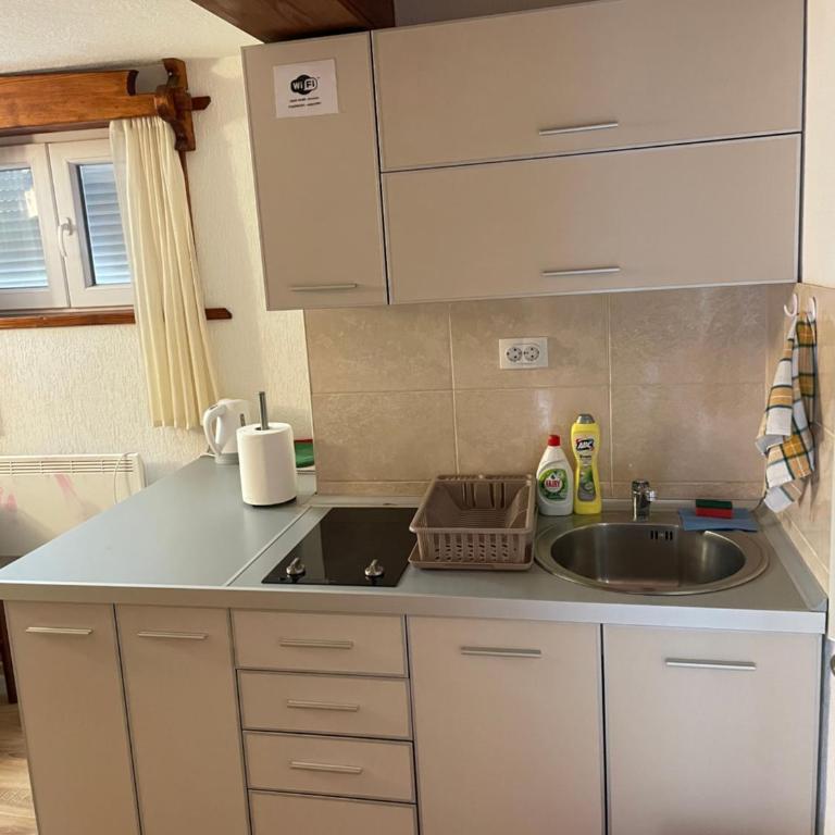 Zabljak studio apartment 2 - Apartman sa 1 Spavaćom Sobom - 7