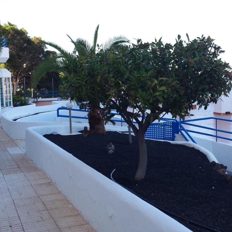 Magical Sunset - Apartamento de 1 dormitorio - 25