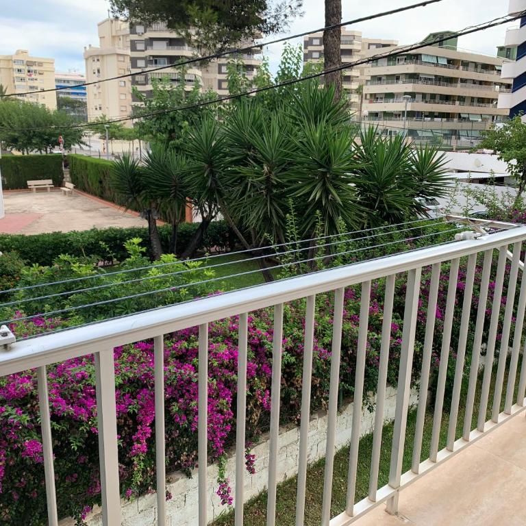Bonito y coqueto apartamento a 150metros de la playa 2 Línea - Apartamento con terraza - 19