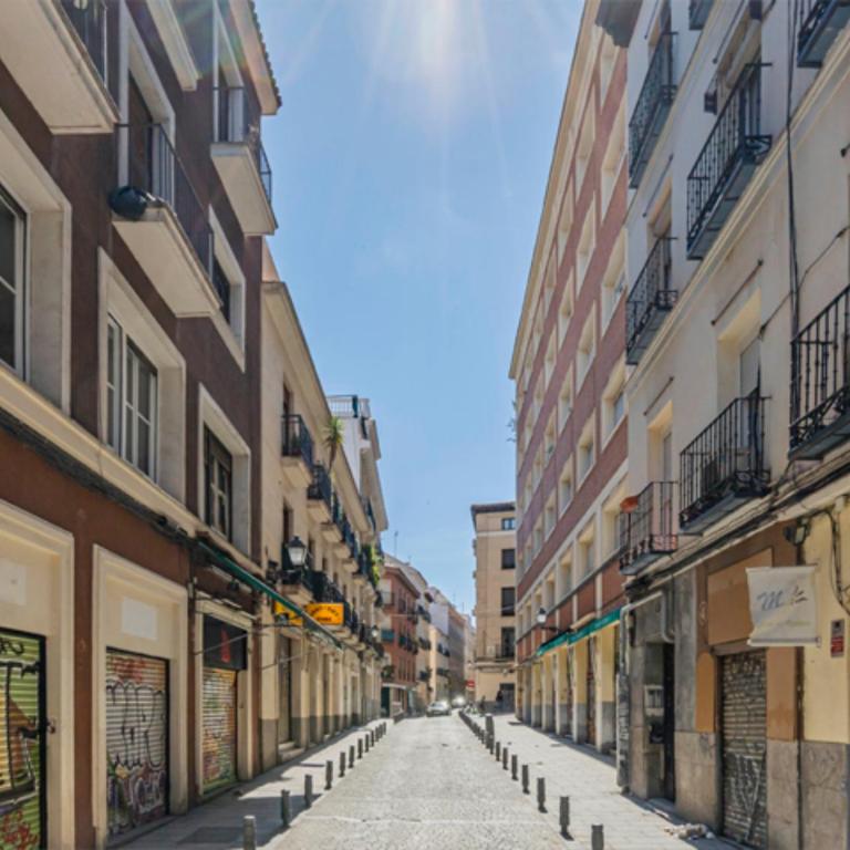 2 bedroom flat in La Latina-CARN - Two-Bedroom Apartment - 24