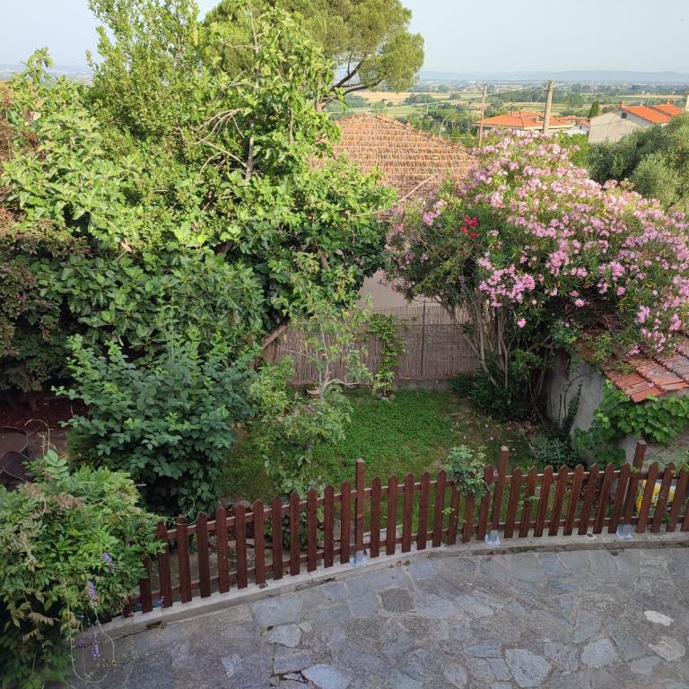 Il Fico di Cortona - Casa con 2 Camere da Letto - 35