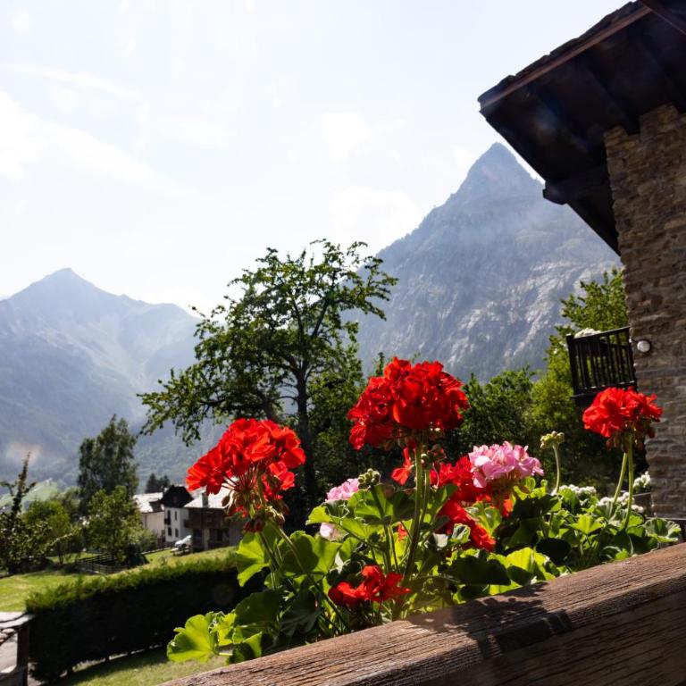 tHE Mountain View Lodge - Courmayeur - Appartamento con 2 Camere da Letto - 10