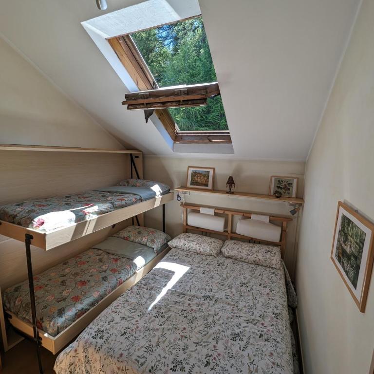 Apartments in the woods - Appartamento su 2 Livelli - 4