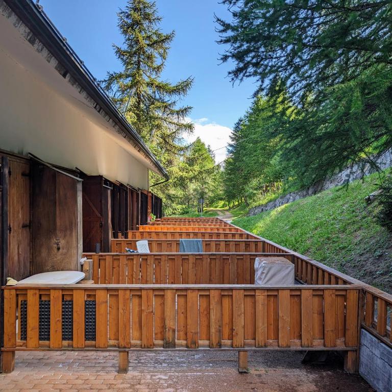 Apartments in the woods - Appartamento su 2 Livelli - 10