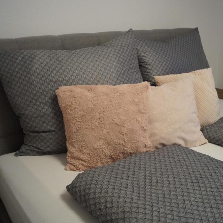 Ferienwohnung Julia Pillerseetal - Apartamento de 1 dormitorio - 9