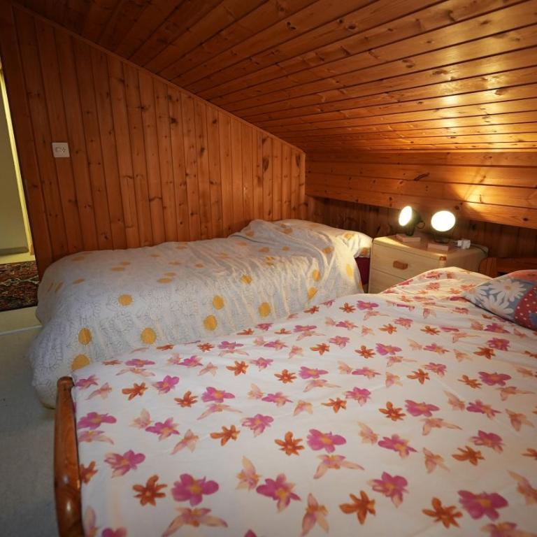Zinal à 80m des remontées mécaniques - Apartment - 14