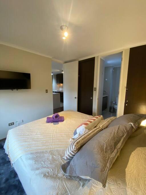 Acogedor y cómodo depto. 2d+2b - Apartamento de 1 dormitorio - 24