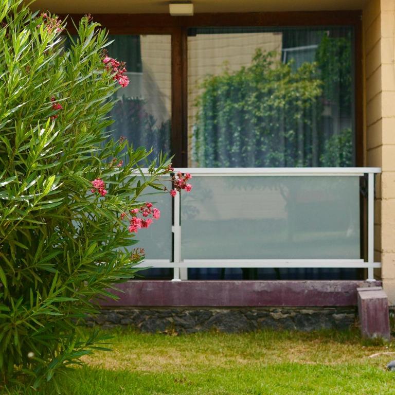 Apartamento El Gato - Apartamento de 1 dormitorio - 24