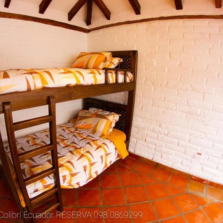 La Casa del colibri ecuador - Habitación Doble Estándar con 2 camas dobles - 2