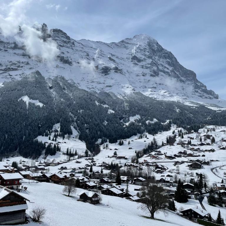 Jungfrau Lodge, Swiss Mountain Hotel - Doppelzimmer mit eigenem Bad und Blick auf den Eiger - 8