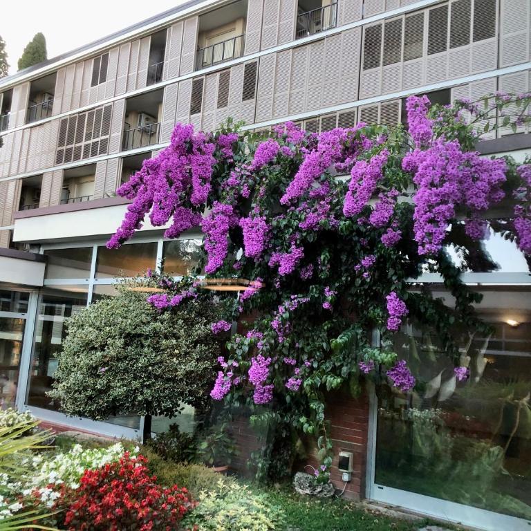Residence Villa Alba - Appartamento Monolocale - 16